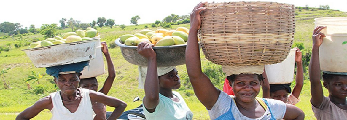 haiti banner image